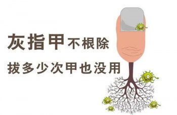 �Ͼ�Ƥ������ָ���������